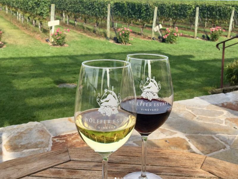 Exploring the Best Wineries on Long Island’s East End