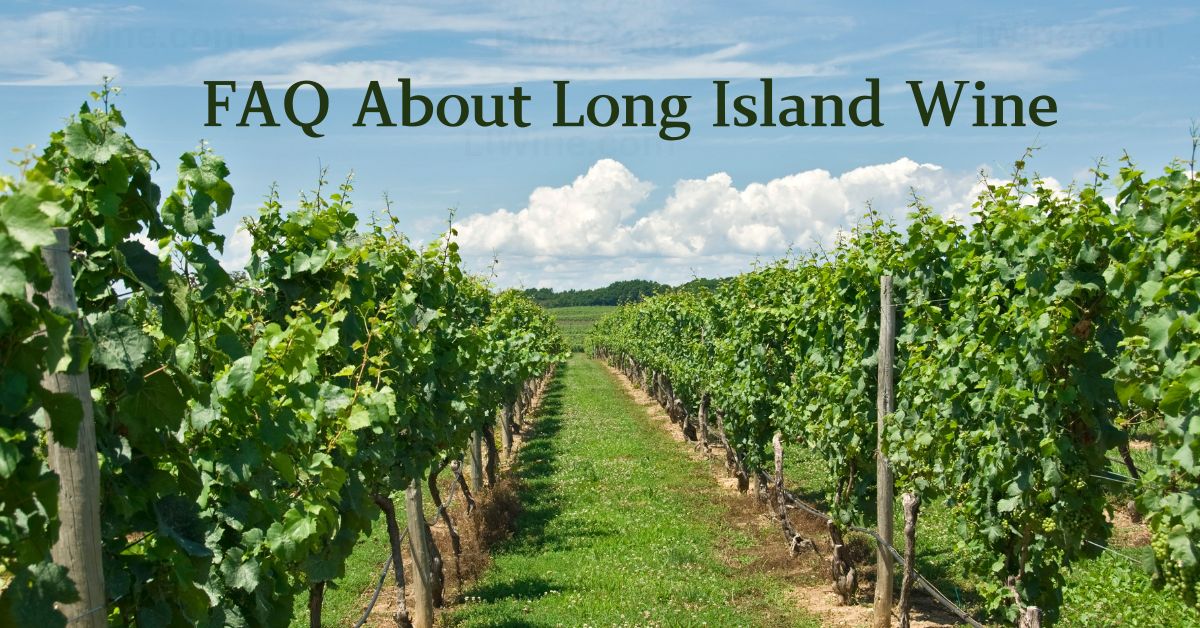 Frequently Asked Questions About Long Island Wine