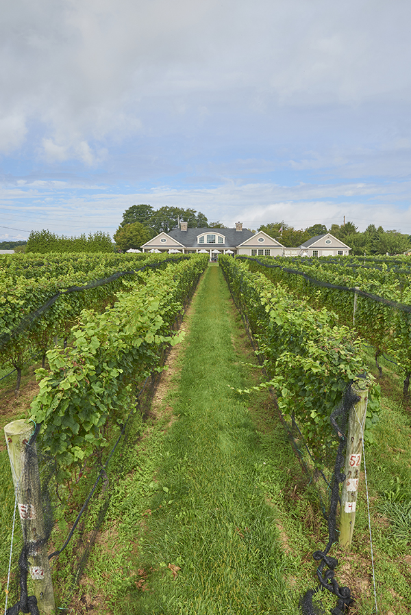 Sparkling pointe winery cheap