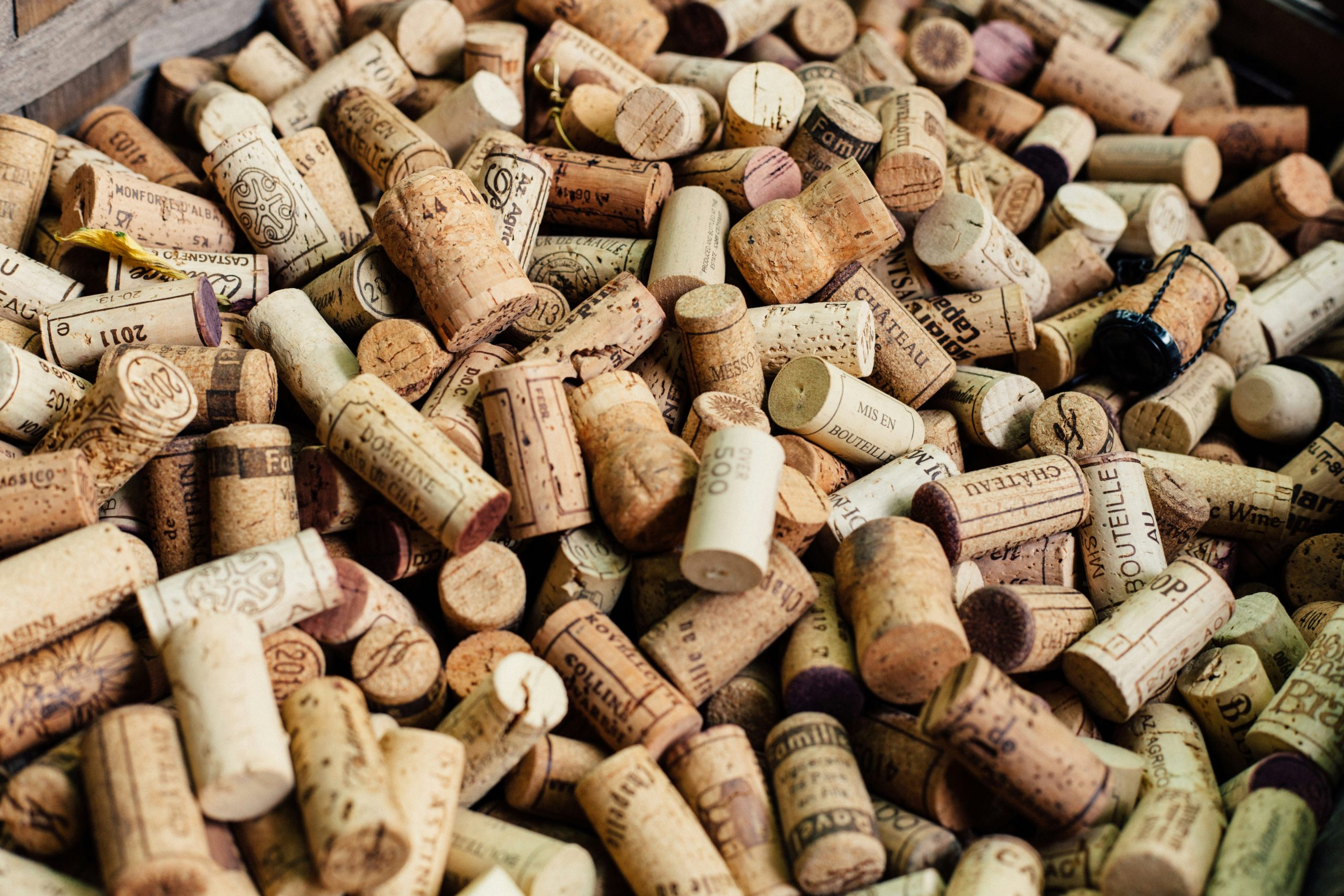 The Top 10 Wines For Beginners: An Easy Guide To Getting Started The Top 10 Wines For Beginners: An Easy Guide To Getting Started